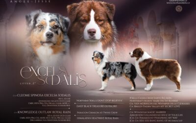 Vrh E narozen 30.1.2026